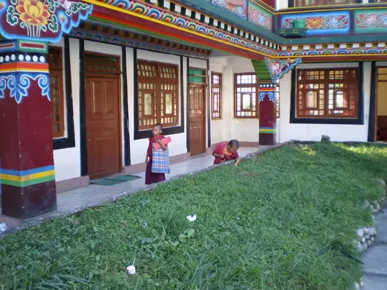 Young Lamas at Ranka Monastery