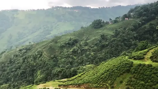 View from Darjeeling Ropeway