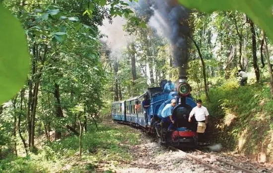 DHR Toy Train near Tindharia